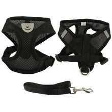 Breathable Mesh Small Dog Pet Harness and Leash Set