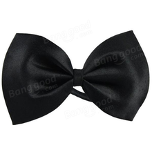 Pet Bow Tie