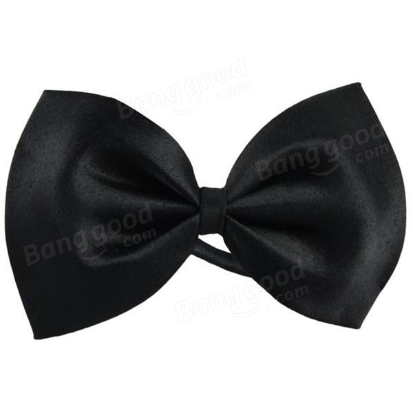 Pet Bow Tie