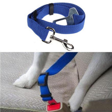 Pet Cat Dog Safety Seat Belt