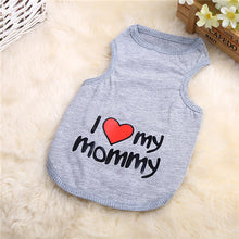 Spring Soft Cotton T-shirt