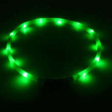 Luminous Led Light Outdoor Dog Collar with USB Charging