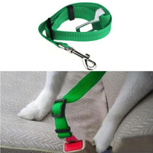 Pet Cat Dog Safety Seat Belt