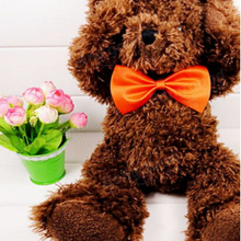 Pet Bow Tie