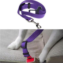Pet Cat Dog Safety Seat Belt