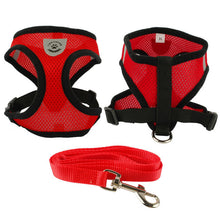 Breathable Mesh Small Dog Pet Harness and Leash Set