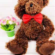 Pet Bow Tie