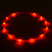 Luminous Led Light Outdoor Dog Collar with USB Charging