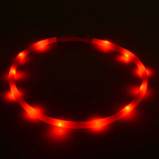 Luminous Led Light Outdoor Dog Collar with USB Charging