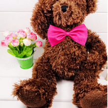 Pet Bow Tie