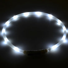 Luminous Led Light Outdoor Dog Collar with USB Charging