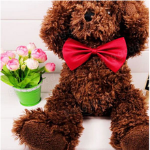 Pet Bow Tie