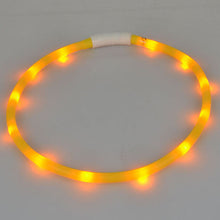 Luminous Led Light Outdoor Dog Collar with USB Charging