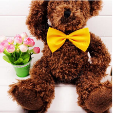 Pet Bow Tie