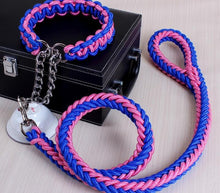 High Quality Color Collar Braided Rope Dog Leashes Pet