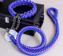 High Quality Color Collar Braided Rope Dog Leashes Pet