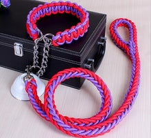 High Quality Color Collar Braided Rope Dog Leashes Pet