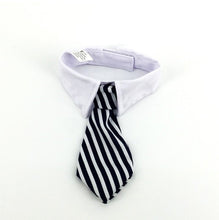 Cat Collar Dress Tie - Cat CEO
