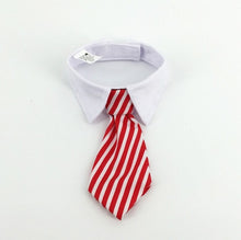 Cat Collar Dress Tie - Cat CEO