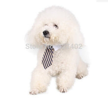 Cat Collar Dress Tie - Cat CEO