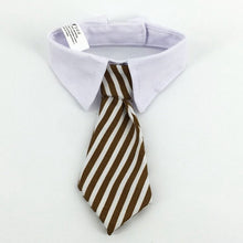 Cat Collar Dress Tie - Cat CEO
